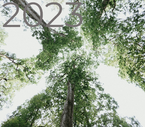 Sustainability Report 2023 (LV)
